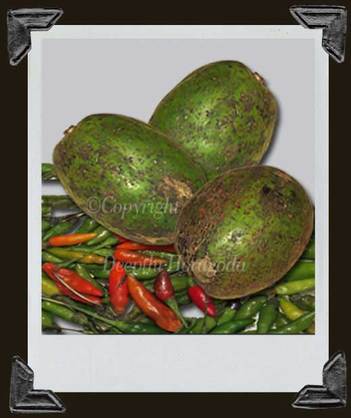 Photograph of raw ambarella fruits and bird’s eye chillies known as kochchi in Sri Lanka.